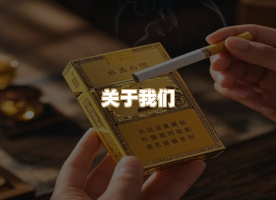 关于御龙烟网